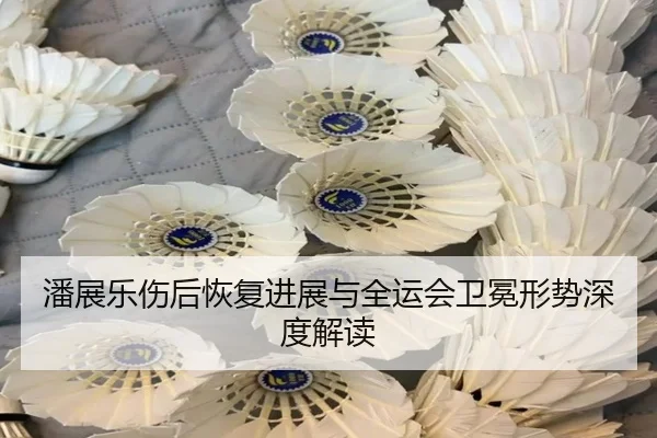 潘展乐伤后恢复进展与全运会卫冕形势深度解读